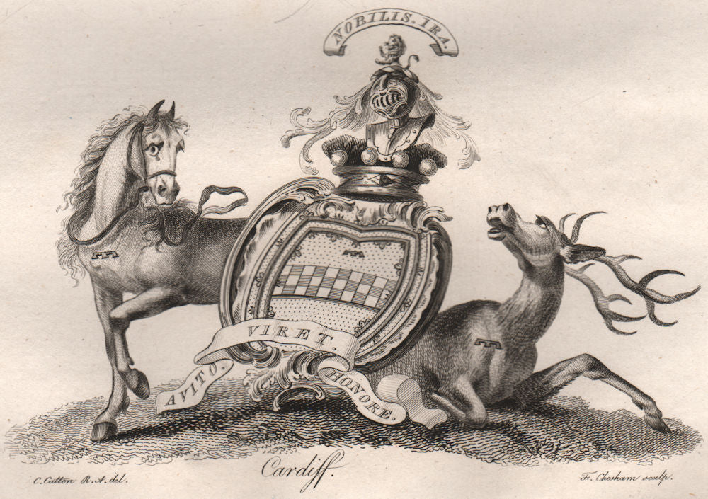 CARDIFF. Coat of Arms. Heraldry 1790 old antique vintage print picture